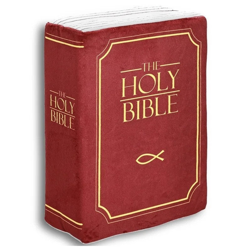 Bible Pillow