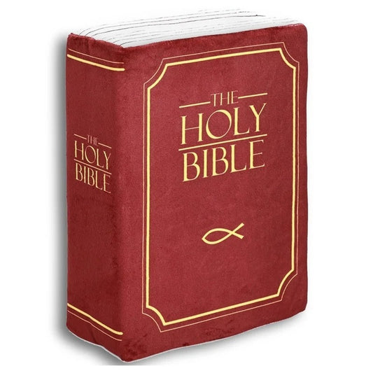 Bible Pillow